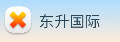 东升国际 logo